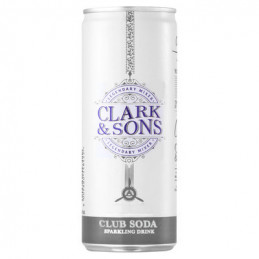 Clark & Sons Mixer - Club Soda 250mlx24 Cans